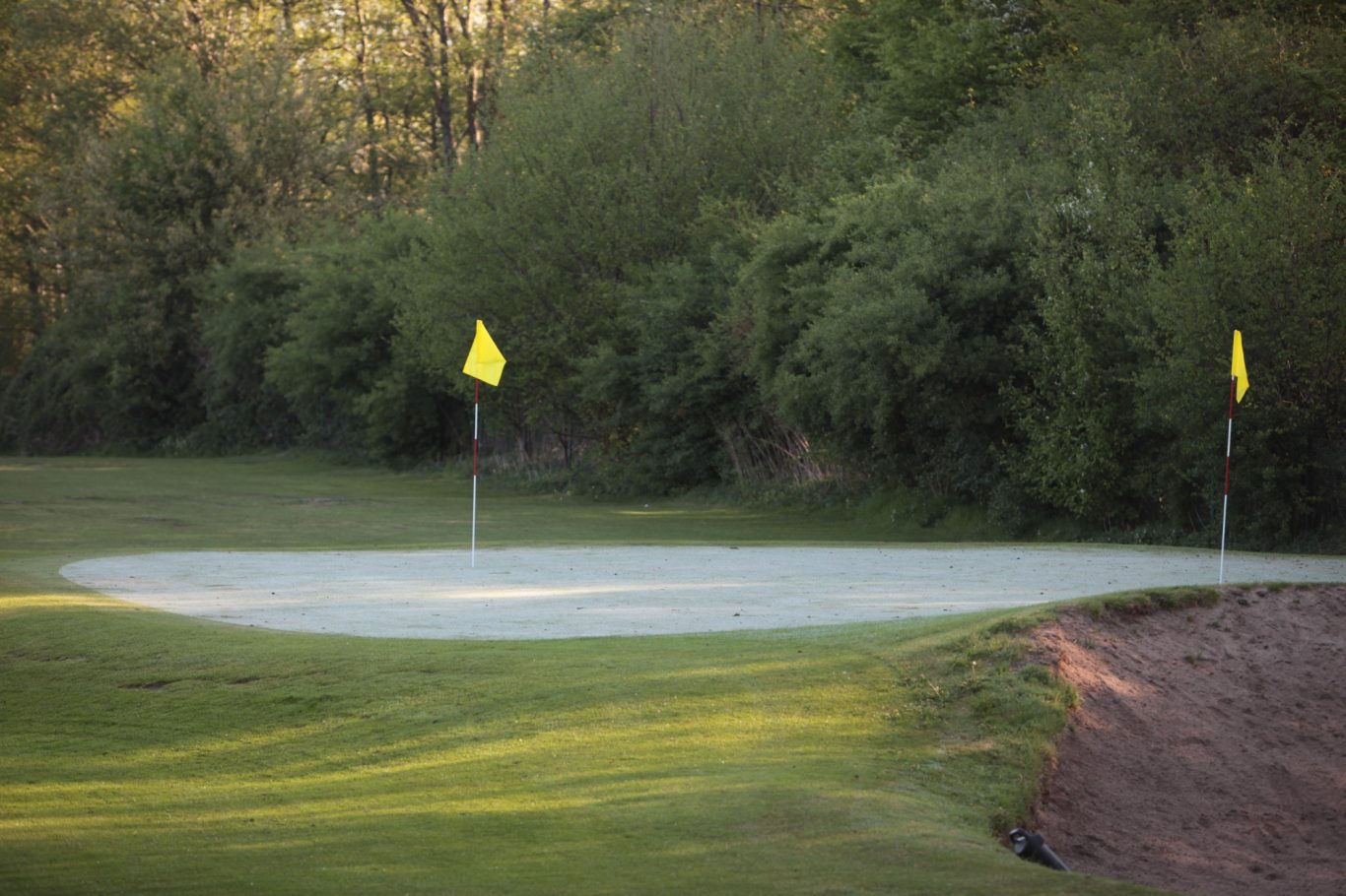 Golfplatz mit einem putting green und zwei gelben Fahnen in der Nähe von Bäumen.